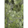 Premium Machine Washable Cerrito AMF558 Fern Rug