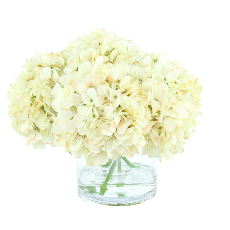 Hydrangeas Arranged in a Glass Vase, Cream
