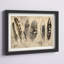 «Quill», impression-22591602-22591609