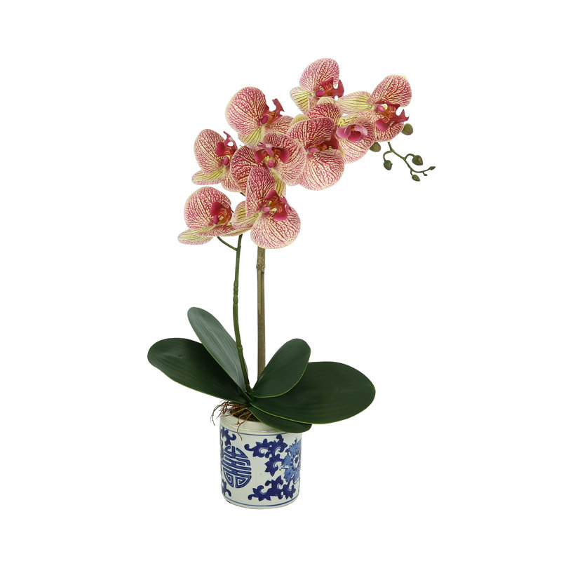 Arrangement floral orchidée dans un vase en céramique