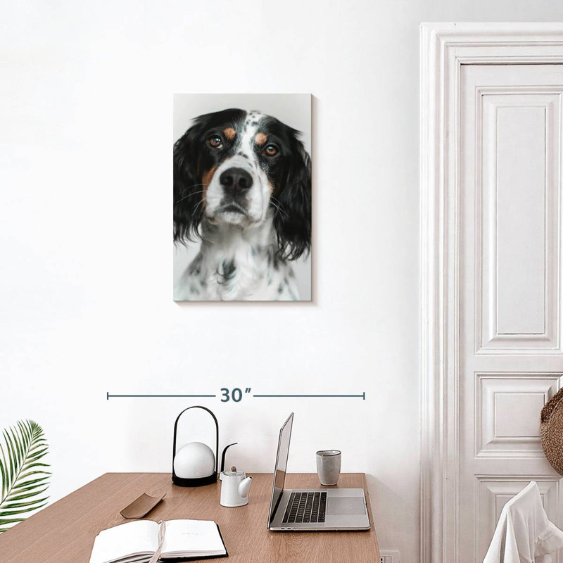 Setter anglais Brampt, H 24 po x l 16 po
