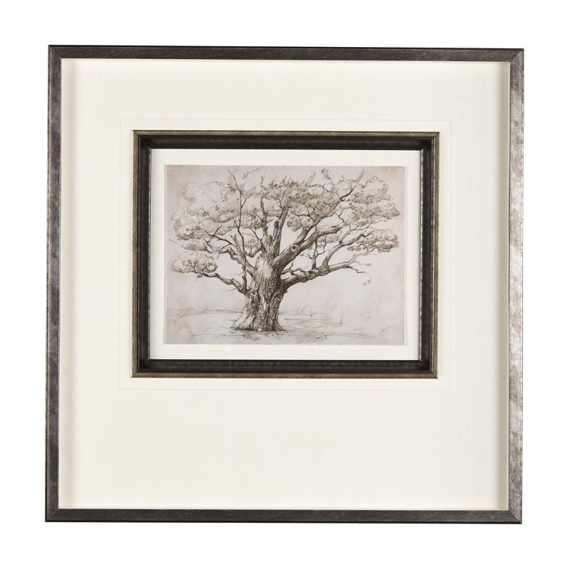 «Westcoast Tree Dessin I», reproduction d'art encadrée à la main mate sous verre, La vie secrète de l'arbre