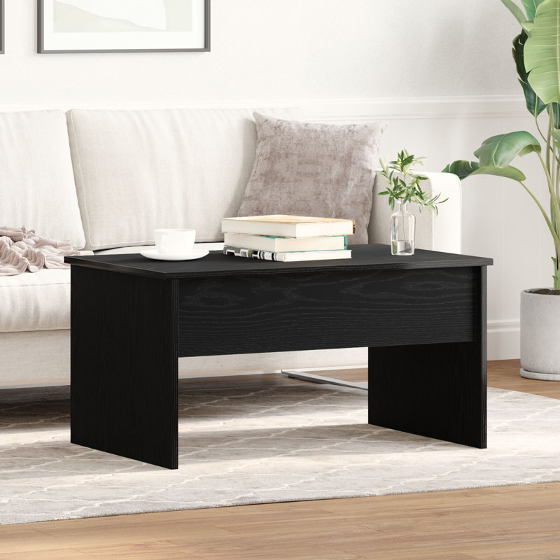 Table basse simple avec rangement Lesath, H 16,3 po x L 31,5 po x l 19,9 po, Chêne brun