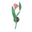 Tulip 1 - Light Wallchiere