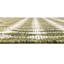 Tapis d'extérieur Green_Unique Loom Traliccio-1989265946