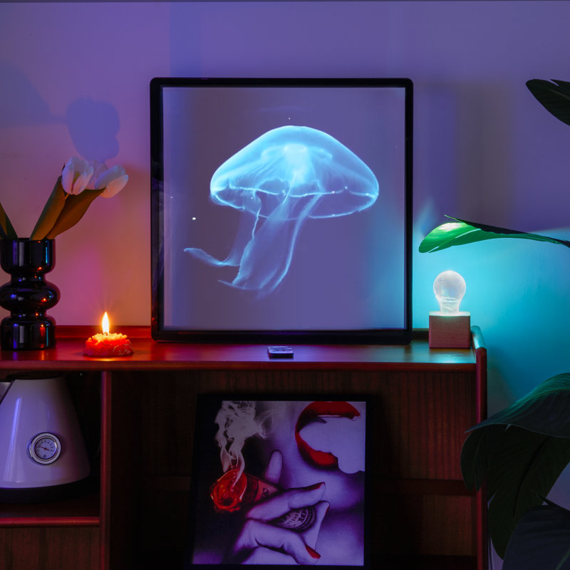Novelty Lamp