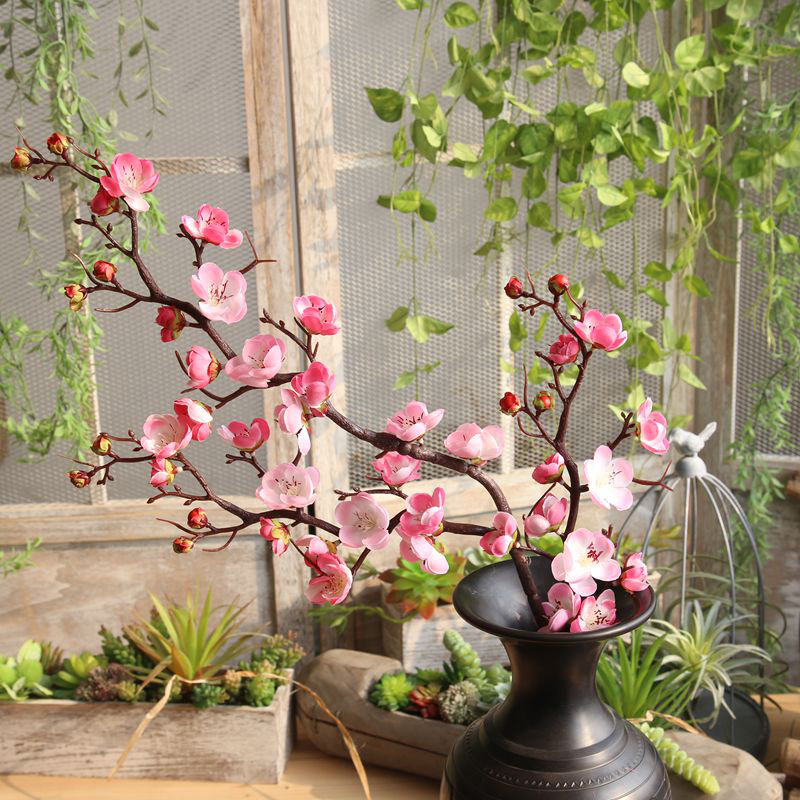 Cerisiers en fleurs, Rose