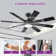 Barbre 60'' Ceiling Fan with LED Lights