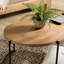 Aalaiya Sled Coffee Table