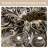 Myhand Microfiber 7 Piece Comforter Set-1954276912-1913838314