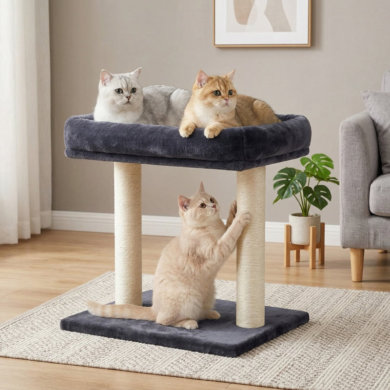 Arbre à chat avec grand perchoir supérieur 19 po x 15,8 po, petite tour pour chat avec poteau à griffer et griffoir à double sisal, gris foncé