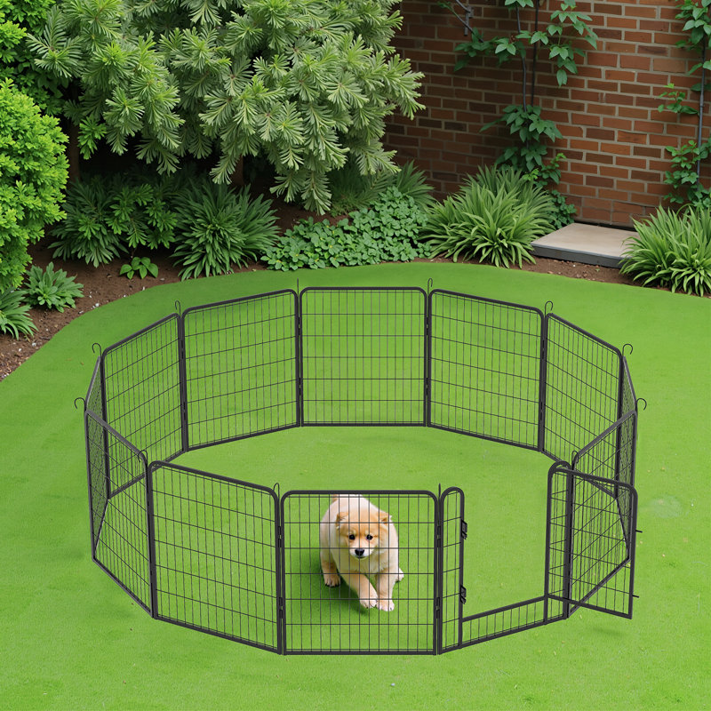 Parc pour chien, enclos d'exercice en métal à 12 panneaux avec porte, enclos pliable pour l'extérieur