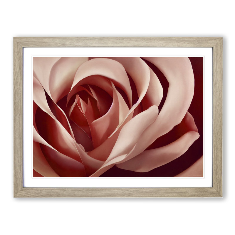Unforgettable Rose Flower - Framed Print, 34cm H x 46cm W x 2cm D, Oak