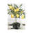 Lemon Tree - Wrapped Canvas Print-1235392402