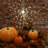Hanneli Battery Operated Starburst Lights with Remote Control - 2 Piece-693183349-693183305