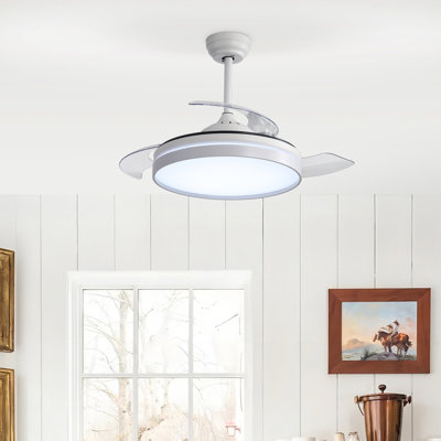 Ceiling Fan with LED Lights