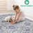8X10 Blue Area Rug - Style, Non-Shedding, Suitable For Dining Room, Entryway Stylish And Bedroom,-980718862