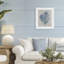 Corail, algues-274117646-274117640