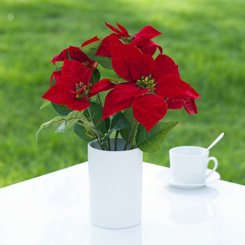 Arrangement floral poinsettias dans un vase