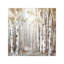 Sunset Birch Forest III by Eva Watts - Painting on Canvas-56675513-41186411