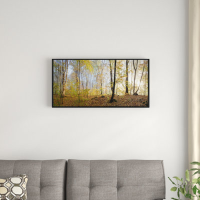 « green automne forest », reproduction de photo sur toile tendue encadrée landscape