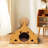 Multi-Functional Cat Scratcher Bed