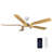 Klaudius 56'' Ceiling Fan with LED Lights-1272956263-1272956260