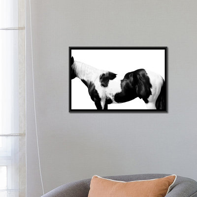 " Pinto " by Samantha Carter