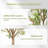 Artificial Olive Tree with Planter Natural Olive Branches