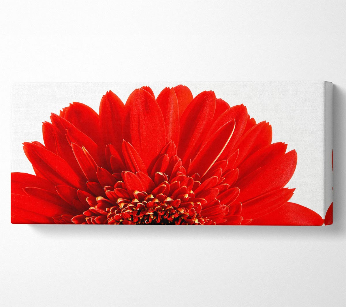 Ebern Designs Red Gerbera Head - Wrapped Canvas Art Prints | Wayfair.co.uk