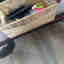 Customer photo 2 of 3