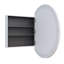 Recessed or Surface Mount Framed Medicine Cabinet-460912952