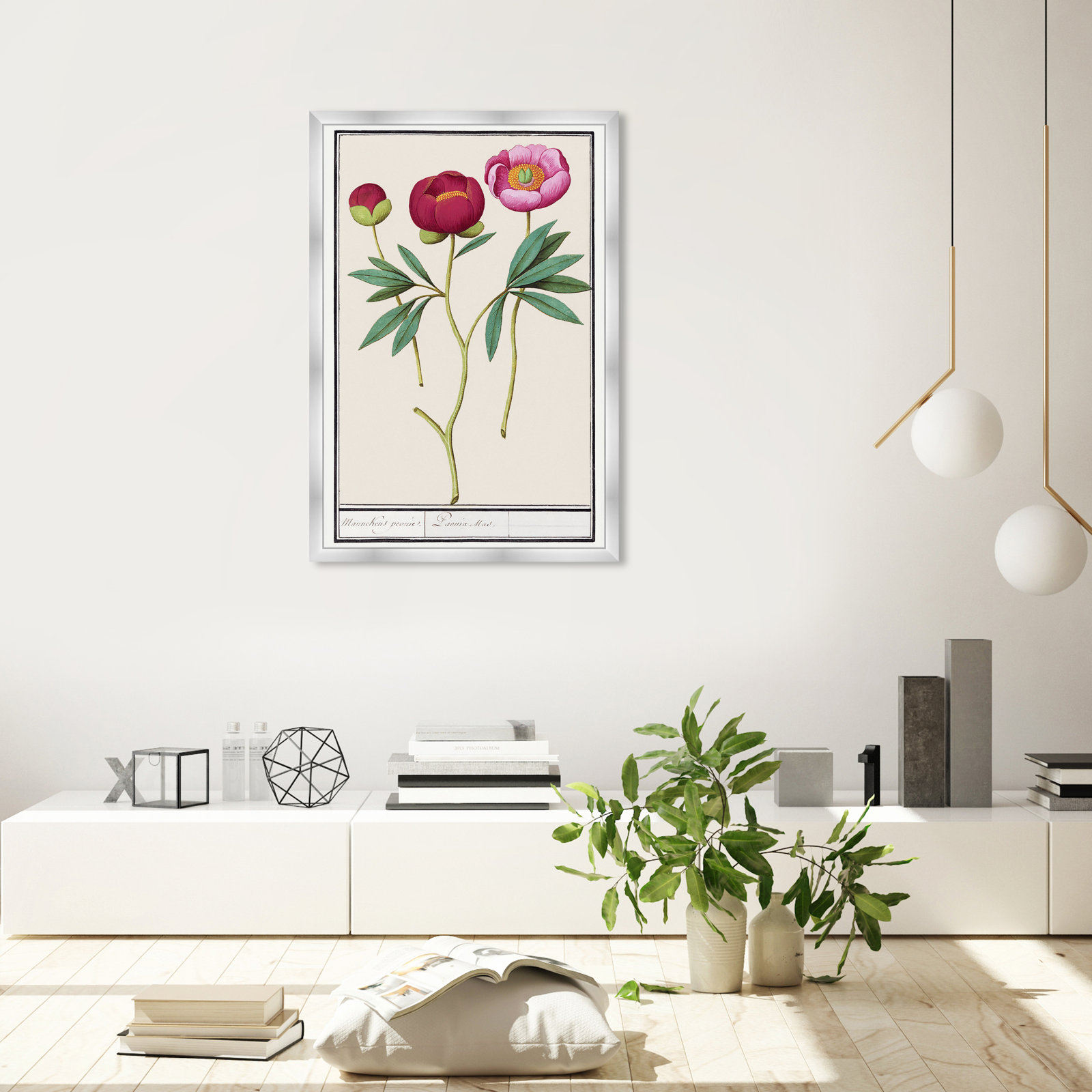 Red And Pink Peony Botanical Study by Oliver Gal, Silver, 38" H x 26" W