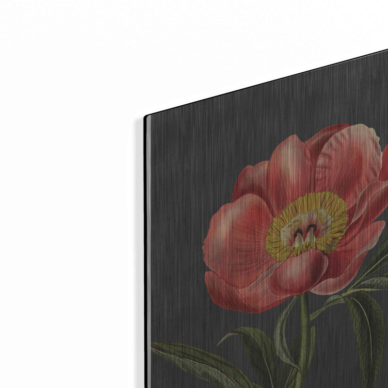 Art mural en métal «Peony» Lark Manor ™, H 16 po x l 12 po
