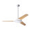 Downrod Ceiling Fan