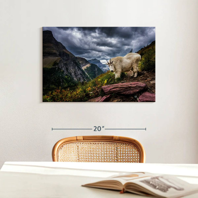 Brampt Rocky Mountain Goat, 16" H x 24" W