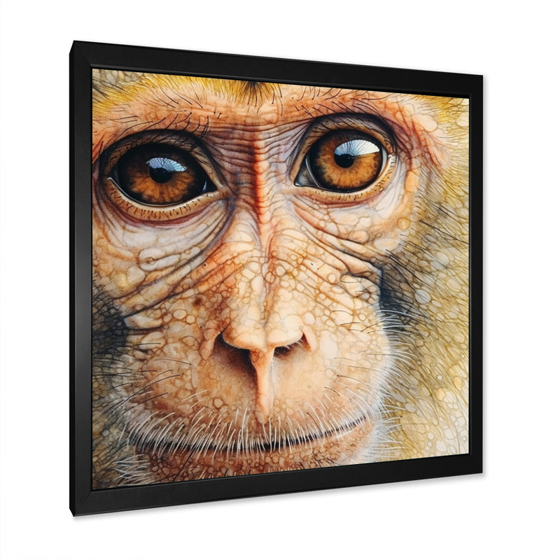 Wild Monkey III - reproduction sur toile, Cadre simple noir, H 36 po x l 36 po x P 1,5 po