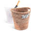 Champagne Bucket