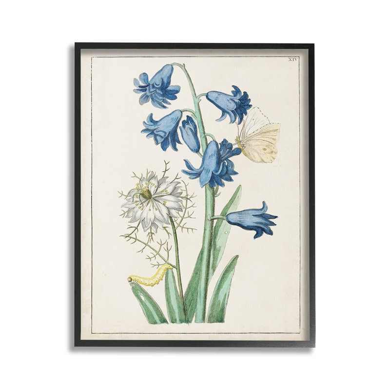 NatureAmpoule avec papillon, Giclée encadrée noir minuit, H 30 po x l 24 po