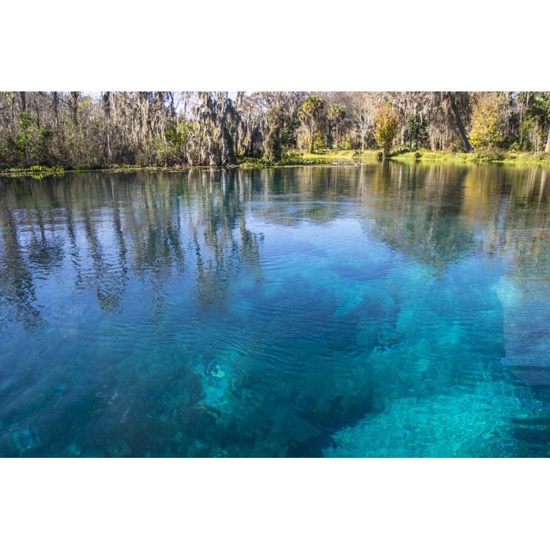 Turquoise, bleu, ressorts argentés par Campp Photo, H 8 po x l 12 po