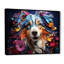 Chien berger australien Allure II-1995067138-1995067147
