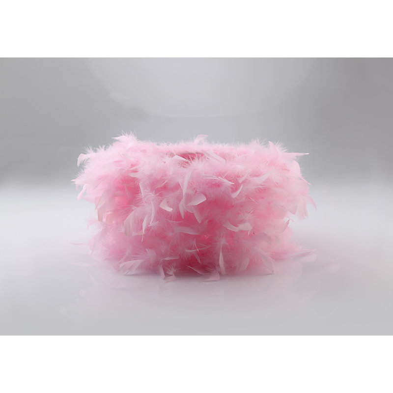 Arqus 20cm H Feather Novelty Lamp Shade ( Clip On ), Pink