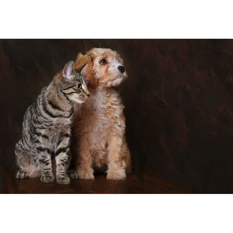 Best Friends - Print on Canvas, 30cm H x 46cm W x 3.8cm D