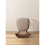 Chaise en bois massif (ensemble de 1)