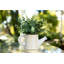 Ensemble de 2 pots artificiels en pot 3,87 "