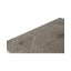 Oriental Area Rug in Brown
