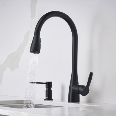 Robinet de cuisine à double jet Atura