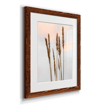 Zen Succulent III - impression