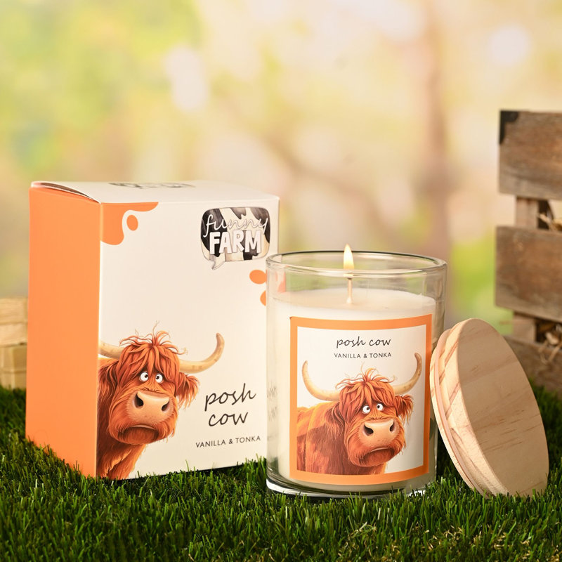 Candle