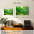 Alvord Green Bamboo Pathway-107952012